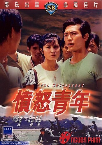 Hận Thù Tuổi Trẻ