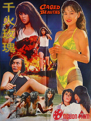 Những Bông Hồng Tù Đày