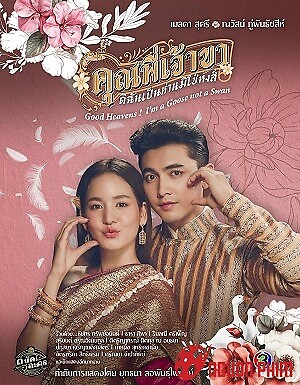 Chàng Ơi... Ta Là Ngỗng Không Phải Thiên Nga