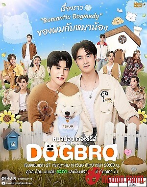 Dogbro