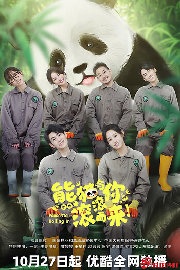 Gấu Trúc Và Bạn, Lăn Đến Đây!