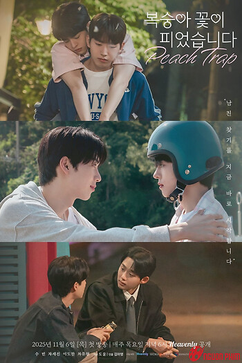 Hoa Đào Nở - Peach Trap