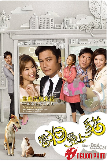 Khi Chó Yêu Mèo