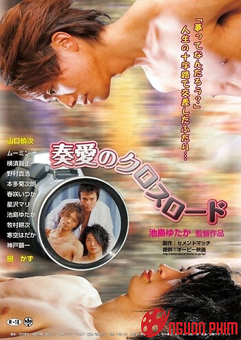 Tình Yêu Ở Ngã Tư Đường